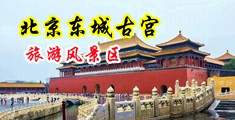 韩国三级主播大秀啪啪中文字幕亚洲可乐视频中国北京-东城古宫旅游风景区